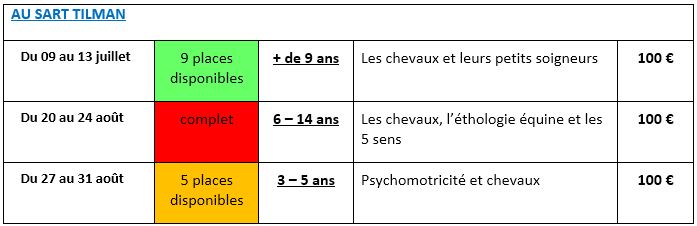 Stages en intégration/inclusion – Eté 2018 – Hippopassion Stages en intégration/inclusion – Eté 2018 – Hippopassion